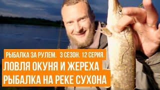 Ловля окуня и жереха \ Рыбалка на реке Сухона \ Рыбалка за рулем \ 3 сезон