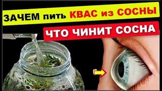 КВАС из СОСНЫ исцелит каждую клеточку ,  остановит старение , продлит жизнь !