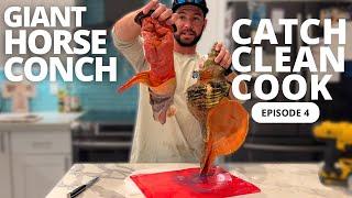 Giant Horse Conch - Catch Clean Cook  - Florida Keys Harvested Bahamian Style Conch Salad Recipe