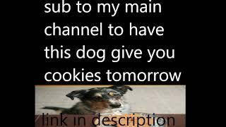 watch this if you like this channel