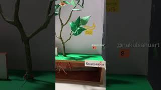Photosynthesis #science #biology #plants #shorts NakulSahuArt