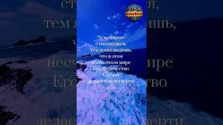 Цитата Фридрих Великий Афоризмы GlobalBites shorts