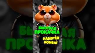 ГАЙД ПО ХАМСТЕР КОМБАТ / Hamster Kombat