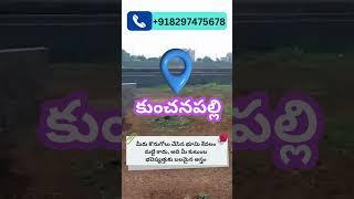 CRDA Approved Land in Kunchanapalli for Sale || Amaravati Ventures || Call +91 8297475678