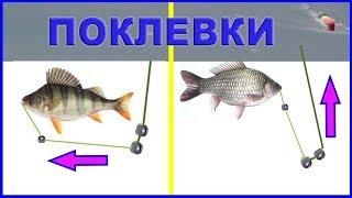 ВИДЫ ПОКЛЕВОК из самого частого положения оснастки: насадка и подпасок лежат на дне fishing