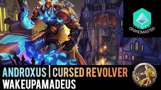 Paladins Grandmaster | Pro Androxus AGGRESSIVITY 100% vs Pro (WakeUpAmadeus)