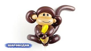 Monkey of balloons