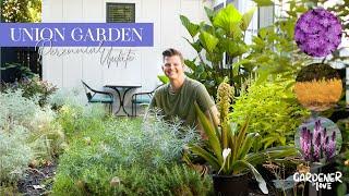 Union Garden Perennial Update - Planting Phlox, Amsonia, & Pineapple Lily | Gardener in Love