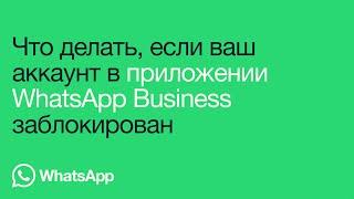 Что делать, если ваш аккаунт WhatsApp Business заблокирован | WhatsApp