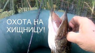 54  Щука схватила жерлицу! Удачная рыбалка!//Russia Volga fishing pike