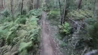 JOYRIDE ROOKIE CUP - Round 3 course preview: Narbethong