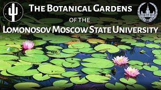 Ботанический сад МГУ / The Botanical Gardens of MSU