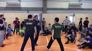 Vladimir Vasiliev Systema Japan "Awareness, Speed, Power" November 2018 seminar Clip 5