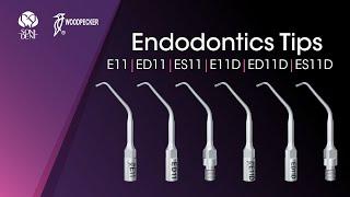 Woodpecker Endodontics Tips: E11, ED11, ES11, E11D, ED11D, ES11D #woodpeckerdental  #endotips