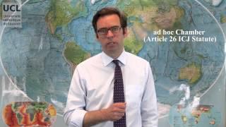 71 The International Court of Justice as an institution