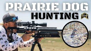 IMPACT M4 | PRAIRIE DOG HUNTING *GRAPHIC*