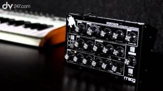 Moog Minitaur Analog Bass Synthesizer