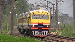 Дизель-поезда ДР1А-198/311 на о.п. Дендрарийс / DR1C-198/311 DMU at Dendrarijs stop