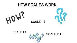 Scales Explained! (For EGD Students)