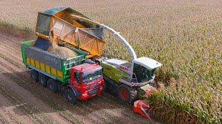 Mais 2023 : Claas Jaguar 870 with Bomech Super Bunker | Tolkamp Agri | Ginaf 8x8 | Corn Harvest | 4K