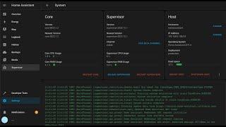 Add Home Assistant Supervisor panel on HAOS 2023