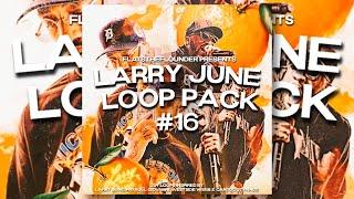 [FREE] Larry June Loop Pack #16 | 20+ Loops Inspired by Larry June & CardoGotWings + 8 Drum Loops