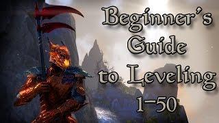 Beginner's Guide to Leveling 1-50 in ESO (Elder Scrolls Online Tips for PC, Xbox One, and PS4)