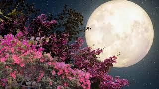 Футаж. Луна, луна  Цветы, цветы  Background moon, flowers