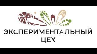 Презентация результатов проекта "Экспериментальный цех НХП и ремесел" (1 день 1 поток)