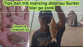 Umpan andalan mancing didanau Sunter, anti zonk, #danausunter #mancing #aguspakkail