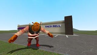 Shrek chasing me at TacoBell