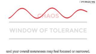 Window Of Tolerance - Optimize Me Elements