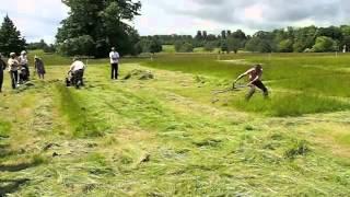 BCS mower vs scythe 2012