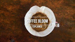 Coffee Bloom: Understanding what it is and how to take advantage of it