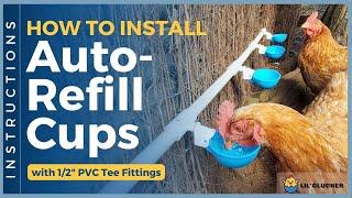 How to Install Automatic Waterer Cups with 1/2" PVC Tee Fittings (DIY #chickens #ducks #rabbits)