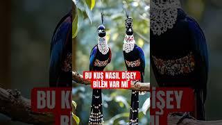 Bu kuş nasıl bakın