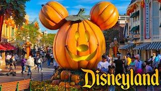 Beautiful Fall Day at Disneyland - Halloween Time Walkthrough & New Orleans Christmas Decorations