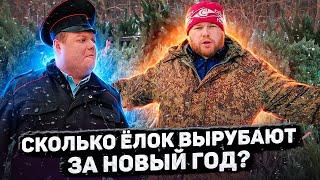 СКОЛЬКО ЁЛОК ВЫРУБАЮТ ЗА НОВЫЙ ГОД?