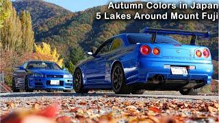 Autumn Color Change around 5 Lakes Mount Fuji | JDM Masters