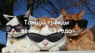 Танцуй тренды весны 2023 года|тренды 2023