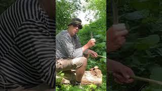 Самая лучшая приманка для рыбалки!!! #лайфхаки #рыбалка #топ #блогер