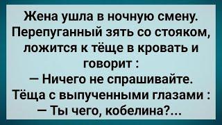 Как Зять Ночью Тещу Напугал! Сборник Свежих Анекдотов! Юмор!