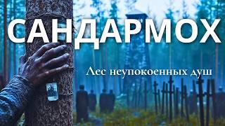 САНДАРМОХ. КАРЕЛИЯ: Тайна гибели тысяч людей. Кто виноват? Фины? Репрессии НКВД? Вся правда.