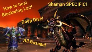 Wow Classic FRESH 2025 - Blackwing Lair Shaman Guide (Deep Dive)