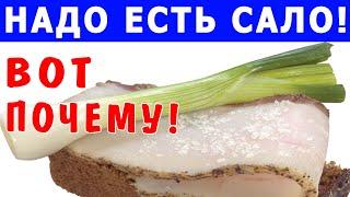 Вот ПОЧЕМУ НАДО ЕСТЬ САЛО – ИНТЕРЕСНЫЕ ФАКТЫ (польза и вред сала)