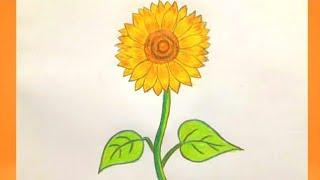 sunflower drawing |sunflower draw|Sanjay Singh