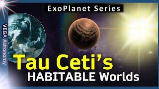  All about Tau Ceti E&F - What are they like?