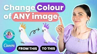 Change Colour in Canva  ANY Image, Graphic or Element (PNG & JPG)