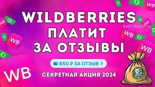 Как получить ДЕНЬГИ ЗА ОТЗЫВЫ на Wildberries? Рубли за отзыв - новая АКЦИЯ ВБ 2024! Баллы кэшбек wb