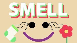 SMELL  | Five Senses Song | Wormhole Learning - Songs For Kids